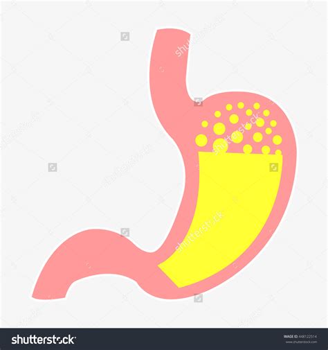 stomach acid clipart - Clipground