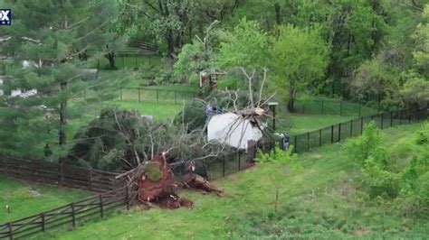 Tornado touches down in Poolesville; No warning issued | FOX 5 DC