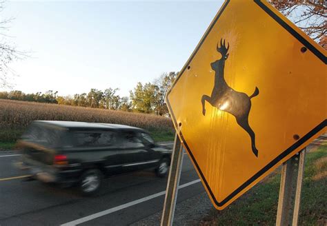 Look up 2016 deer accidents in your Michigan community - mlive.com