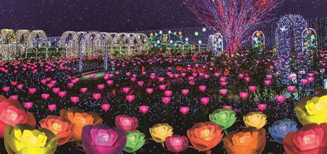 Ashikaga Flower Park Illumination 2020 In Japan Is A Sight To Behold