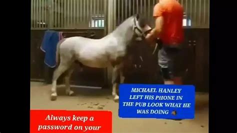 Michael Hanley Horse Video - Viral Twitter Video