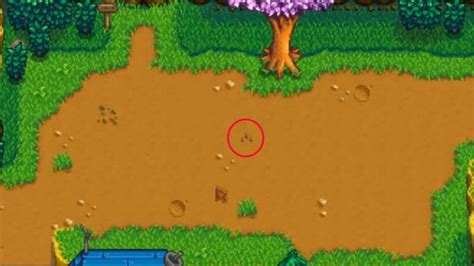 5 Ways to Collect Clay in Stardew Valley?