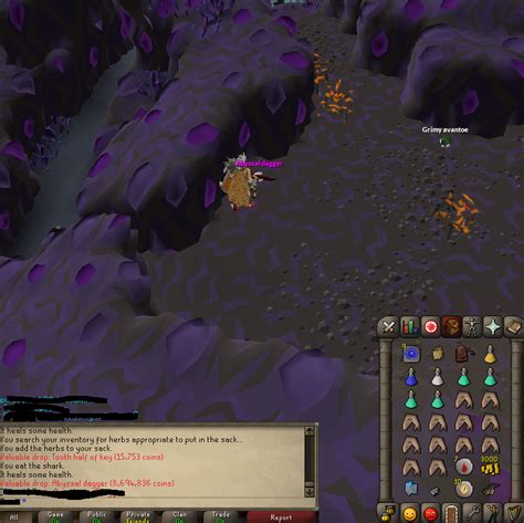 All i wanted was an Abyssal demon head.. RIP RNG forever. : r/2007scape