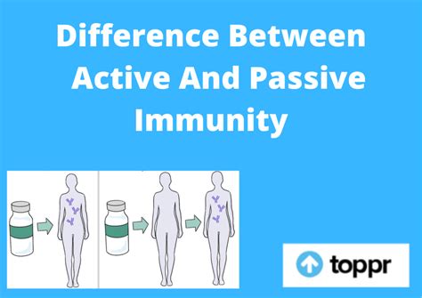 Difference Between Active And Passive Immunity in Tabular Form