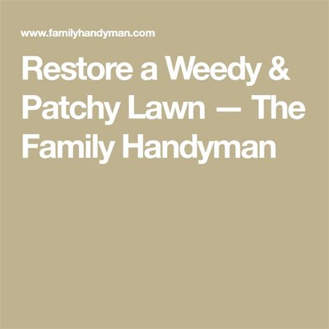 restore a weedy and patchy lawn the family handyman