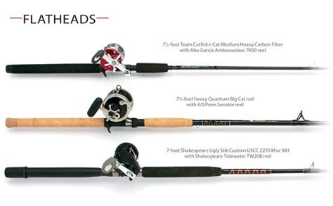 catfish rod and reel combo | Catfish rods, Catfish rod and reel, Catfish