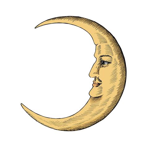 Hand drawn sketch of a crescent | Premium Vector - rawpixel