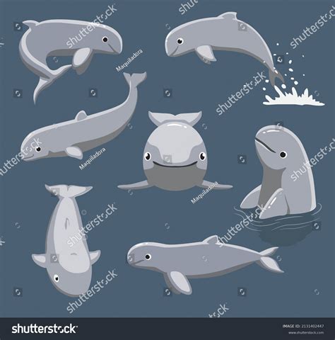 Animal Irrawaddy Dolphin Poses Cartoon Vector Stock Vector (Royalty Free) 2131402447 | Shutterstock