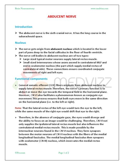 Abducent Nerve 6CN | PDF | Human Anatomy | Nervous System