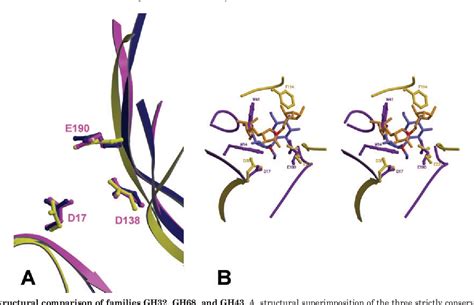 Figure 4 from The Three-dimensional Structure of Invertase (β-Fructosidase) from Thermotoga ...