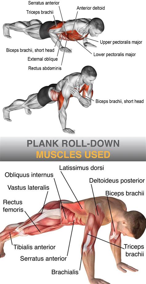 Correctness of the Plank in the Hang