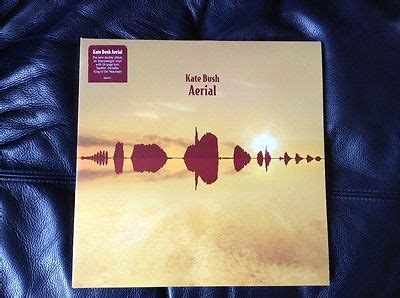 popsike.com - Kate Bush Aerial vinyl record - auction details