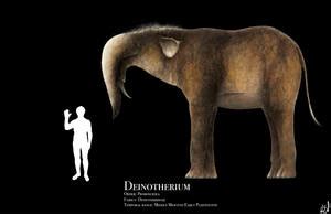 Deinotherium Giganteum Size by Harry-the-Fox on DeviantArt