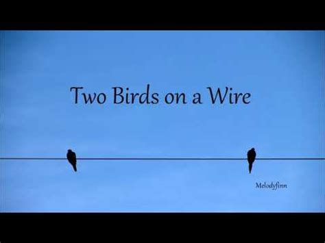 Two Birds on a Wire (Cover) - YouTube