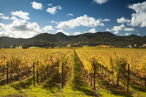 Top 10 Ways to Tour the California Wine Country