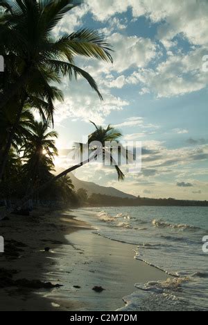 Beach Playa Dorada, Puerto Plata, Dominican Republic Stock Photo - Alamy