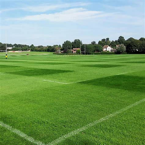 20kg - FR.3 Eco Football & Rugby Pitch 100% Ryegrass Grass Seed Mix (FR3)