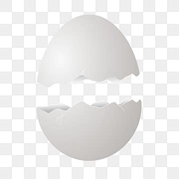 Broken Egg Shellsboil Egg Vector Art HD Images | Free Download on Pngtree