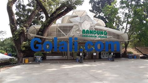 Ini Fasilitas Baru di Kebun Binatang Bandung – Golali.id