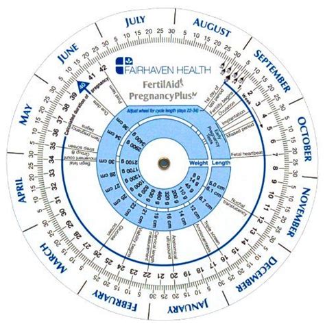 51 best Ovulation Calendar images on Pinterest | Ovulation calendar ...