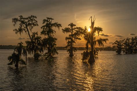 The Nature Conservancy and Lake Martin | The Heart of Louisiana