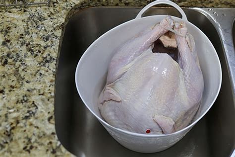 Best Way to Thaw a Turkey | Sloan Appliance Service