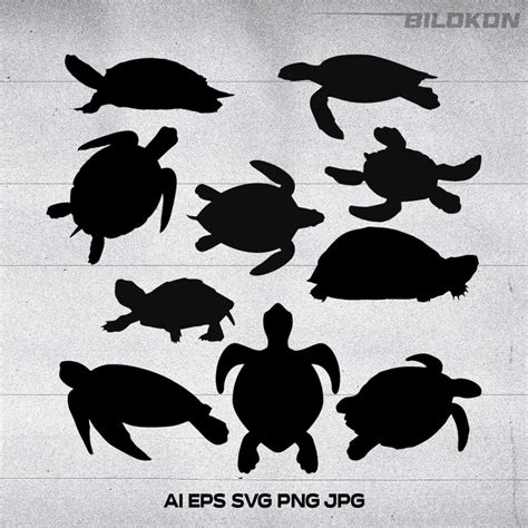 Turtle silhouette icon set, SVG Vector | MasterBundles