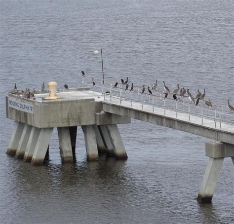 Mooring Dolphin "A" - Jacksonville, Florida