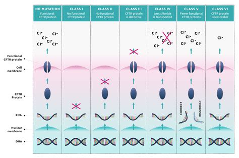 AIM | Treatment of Cystic Fibrosis