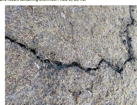 Figure 1 from New explanations for gully formation on farmlands in China’s Mollisols region ...