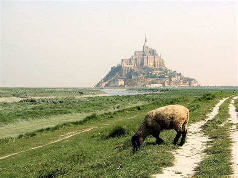 Free stock photo of france, mont saint-michel, normandy