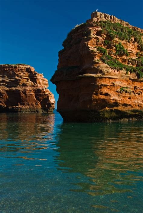 Ladram Bay - Photo "Ladram bay stacks" :: British Beaches