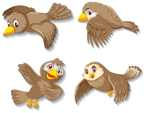 Premium Vector | Cute sparrow bird cartoon character