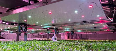 Vertical farming technology: our LED grow light system – LED iBond