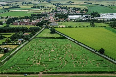 The York Maze isn’t opening this summer – but the Great Yorkshire Maze ...