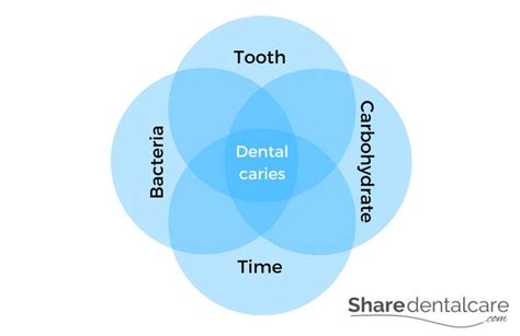 Dental Caries: Causes, Symptoms, & More [Overview] »Share Dental Care