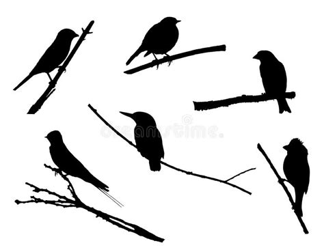 Birds on the Branch Silhouette Set in Vector Stock Vector - Illustration of european, erithacus ...