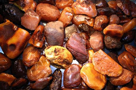 File:Amber Bernstein many stones.jpg - Wikipedia