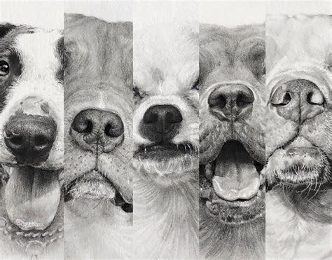 Hyper-Realistic Animal Pencil Drawings By Helen Violet