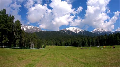 Baisaran Pahalgam India's Mini Switzerland in Kashmir || ভারতের সুইজারল্যান্ড - YouTube