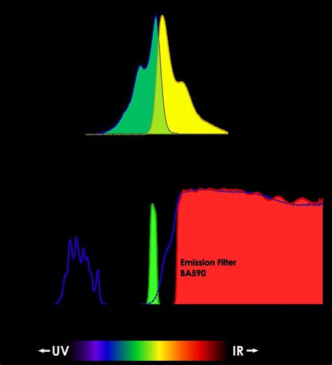 Filter Cube Set and CY3 Emission/Absorption Characteristic… | Flickr