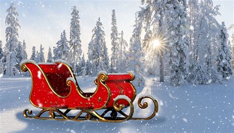 Sleigh In Snow