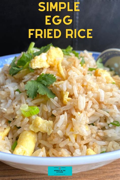 Simple Egg Fried Rice | Newbie In The Kitchen