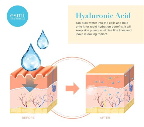 7 Benefits of Hyaluronic Acid and You Need It