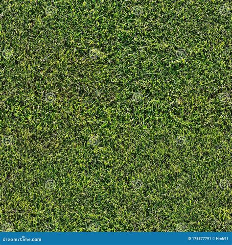 Short Grass Lawn And Seamless Rock Texture Stock Photography | CartoonDealer.com #65973338