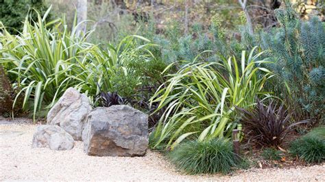 Landscaping Plants for a Modern Garden