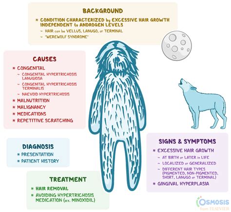 Hypertrichosis: What Is It, Causes, Signs and Symptoms, and More