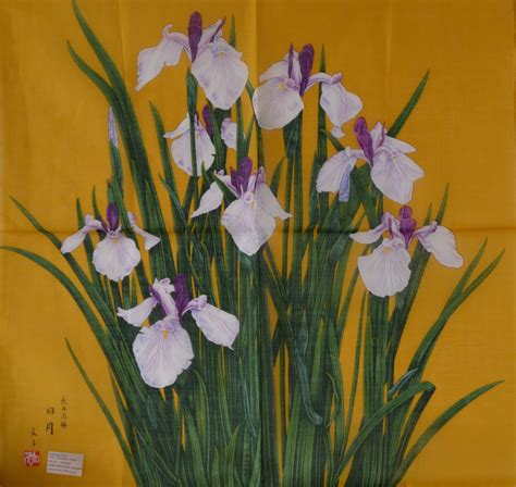 Japanese Iris Painting at PaintingValley.com | Explore collection of ...