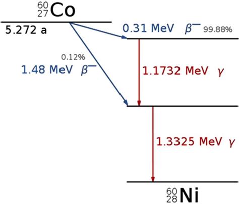 Cobalt-60 decay diagram. | Download Scientific Diagram