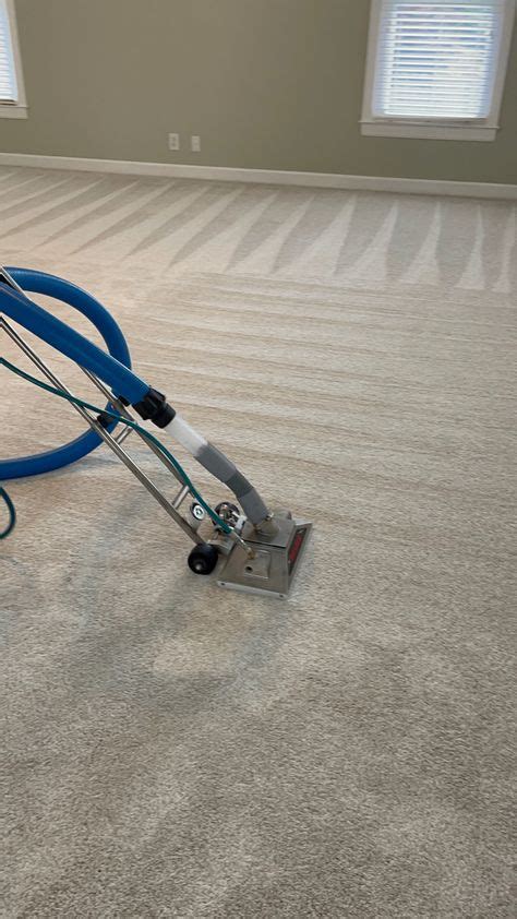 34 Green Carpet Cleaning Services ideas in 2021 | green carpet cleaning ...